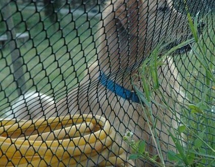 1380945486-3195189898