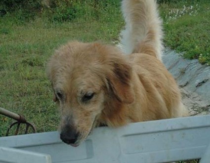 1380945486-4220822971