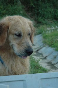 1380945487-3864297410