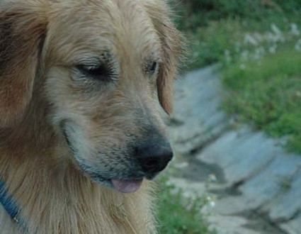 1380945487-3864297410