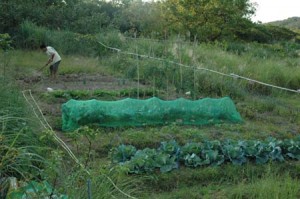 1380945487-522692438