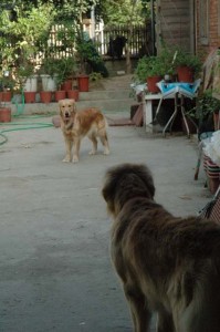 1380945491-521496878