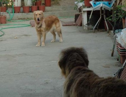 1380945491-521496878