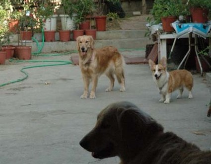 1380945492-1921282855