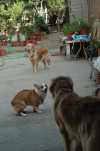 1380945493-2510475664