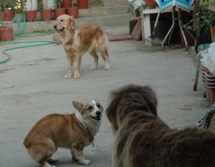 1380945493-2510475664