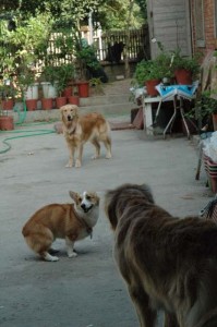 1380945493-2998488678