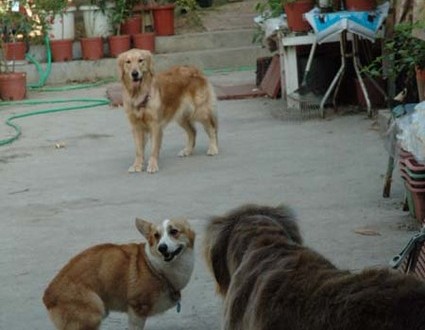 1380945493-2998488678