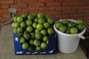 1380945495-917687350