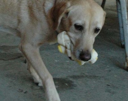 1380945496-2222833155