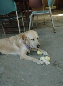 1380945497-2249739918