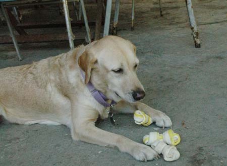 1380945497-2249739918