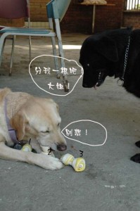 1380945498-2205567002