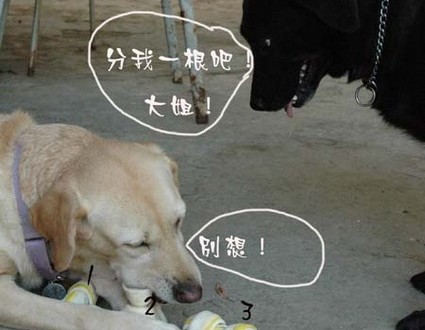 1380945498-2205567002