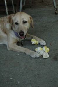 1380945498-2311320978