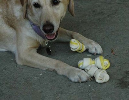 1380945498-2311320978