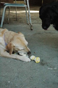 1380945498-769200168