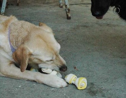 1380945498-769200168