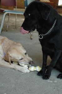 1380945499-782716574