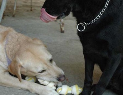 1380945499-782716574