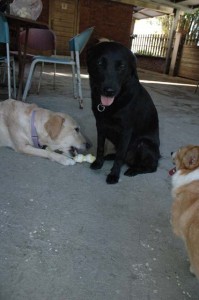 1380945503-3118799717