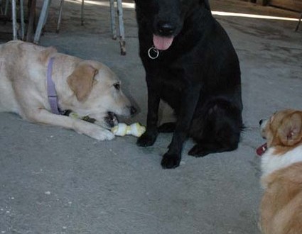 1380945503-3118799717