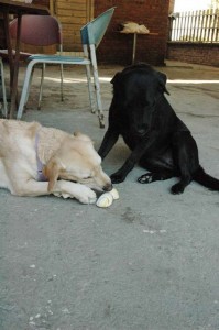 1380945503-3706734607