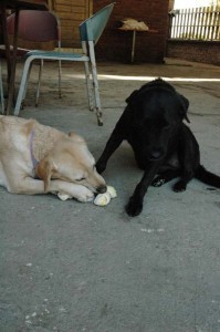 1380945504-2775978317