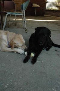 1380945504-3634726418