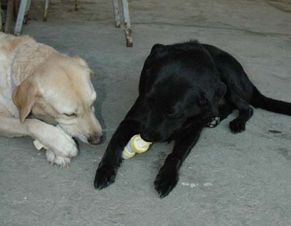 1380945505-1787837638