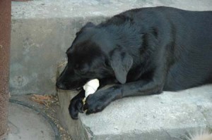 1380945506-1827070817