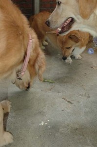 1380945507-1199170220