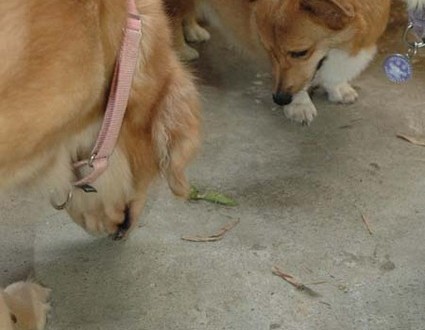 1380945507-1199170220