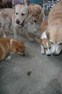 1380945507-487412919