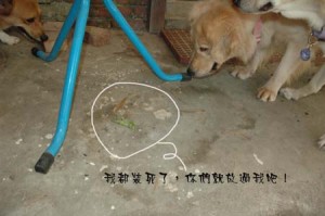 1380945508-3824806167