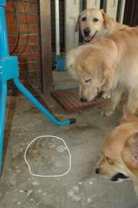 1380945508-598991018