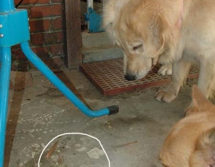 1380945508-598991018