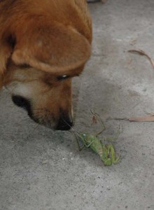 1380945509-134116240