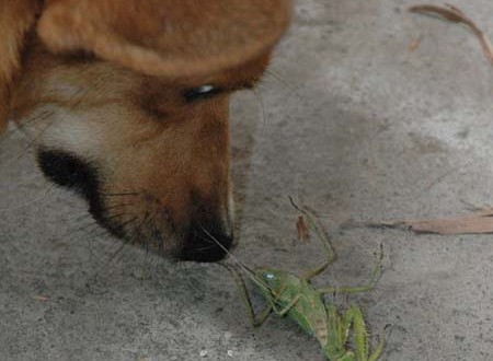 1380945509-134116240