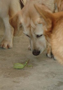 1380945510-766314812