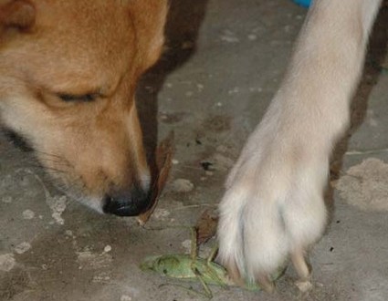 1380945511-1110730460