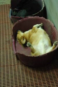 1380945513-3490404766