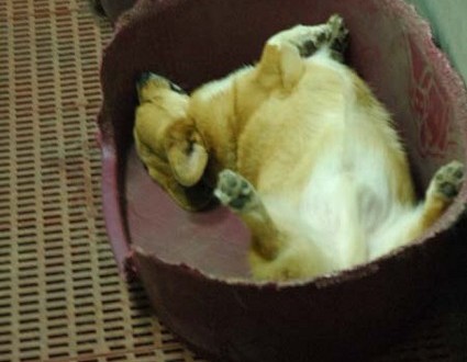 1380945513-3490404766