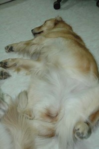 1380945514-1156132032