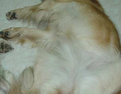 1380945514-1156132032