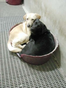 1380945514-3407912284