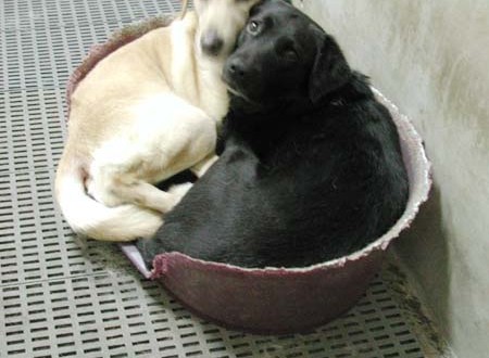 1380945514-3407912284