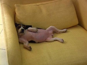 1380945515-1450053149