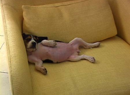 1380945515-1450053149