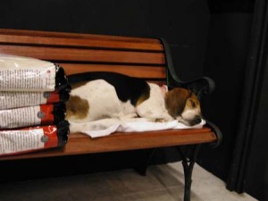 1380945516-2626702252